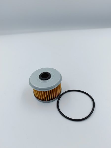 HIFLO FILTRO фільтр оливний HF113 324998 фото